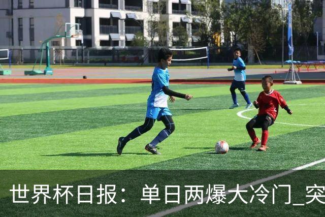 世界杯日报：单日两爆大冷门 突尼斯惨败后现换帅疑云